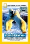 National Geographic Video Властелин полярных просторов: Семейный альбом белого медведя Формат: DVD (PAL) (Super jewel case) Дистрибьютор: Парадиз Видео Региональный код: 5 Звуковые дорожки: Русский инфо 13266j.